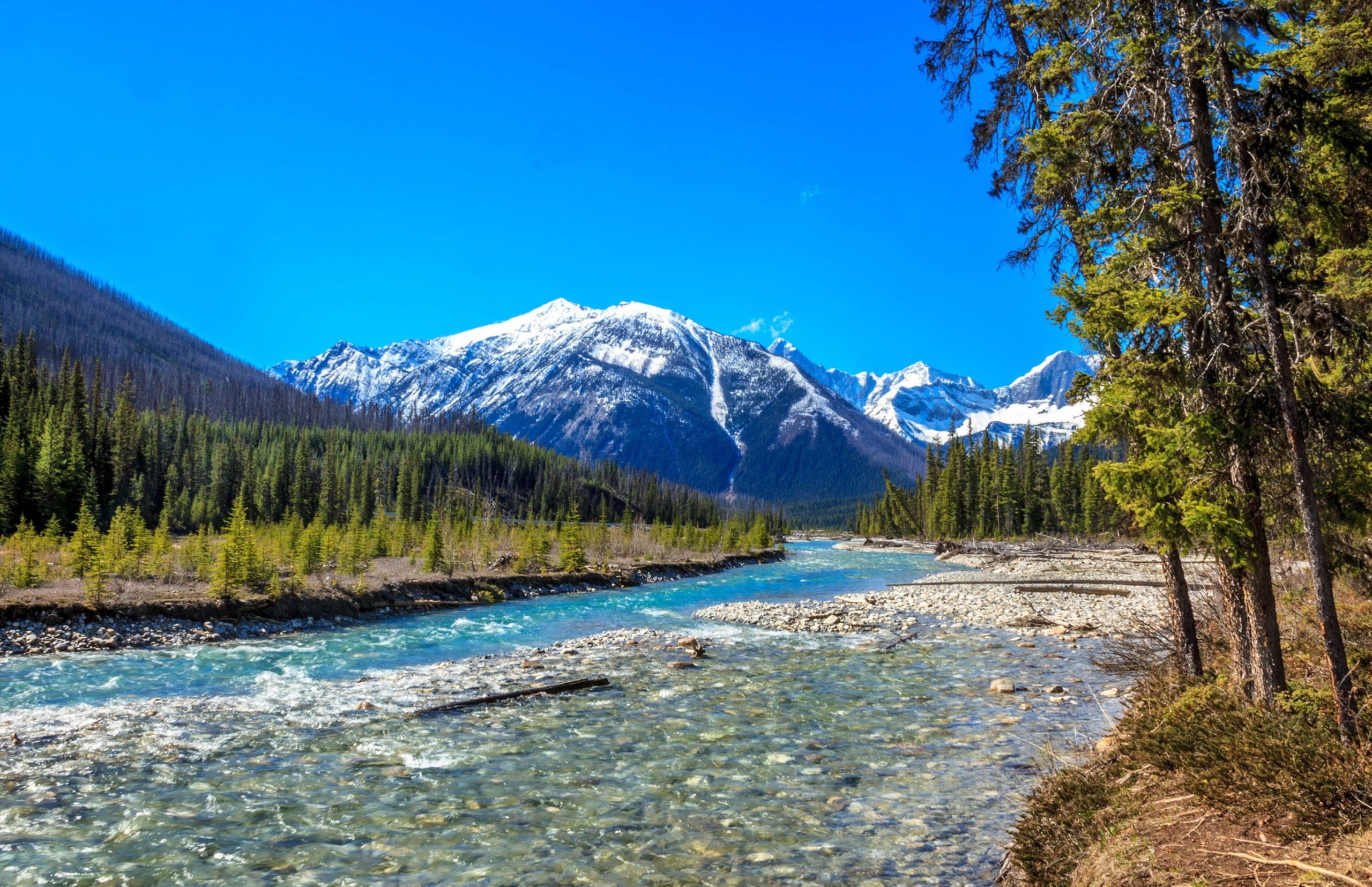 canadian-rockies-vermilion-river-mountain-river-morning-spring